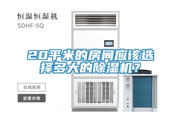 20平米的房間應(yīng)該選擇多大的除濕機(jī)？