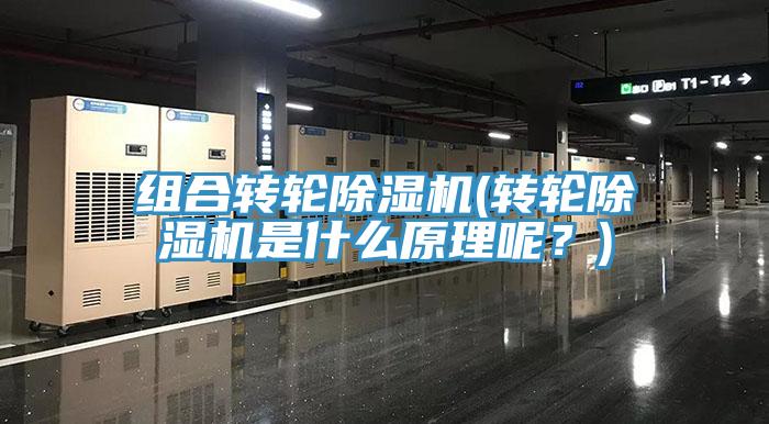 組合轉(zhuǎn)輪除濕機(轉(zhuǎn)輪除濕機是什么原理呢？)