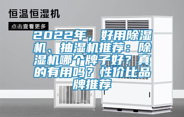 2022年，好用除濕機、抽濕機推薦：除濕機哪個牌子好？真的有用嗎？性價比品牌推薦