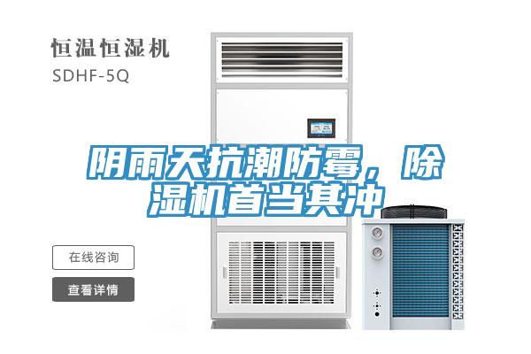 陰雨天抗潮防霉，除濕機(jī)首當(dāng)其沖