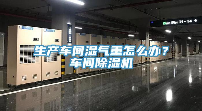 生產(chǎn)車間濕氣重怎么辦？車間除濕機