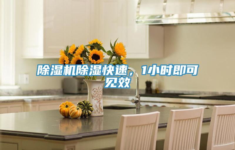 除濕機除濕快速，1小時即可見效