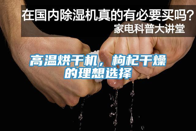 高溫烘干機，枸杞干燥的理想選擇