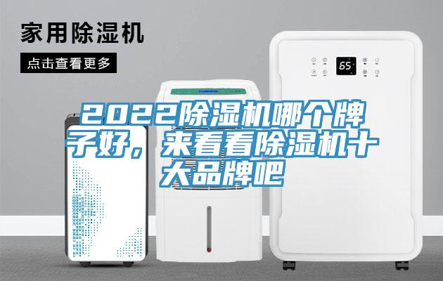 2022除濕機哪個牌子好，來看看除濕機十大品牌吧