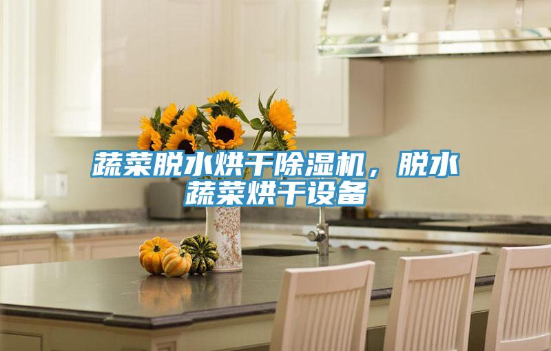 蔬菜脫水烘干除濕機(jī)，脫水蔬菜烘干設(shè)備