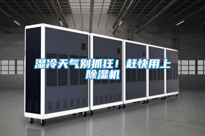濕冷天氣別抓狂！趕快用上除濕機