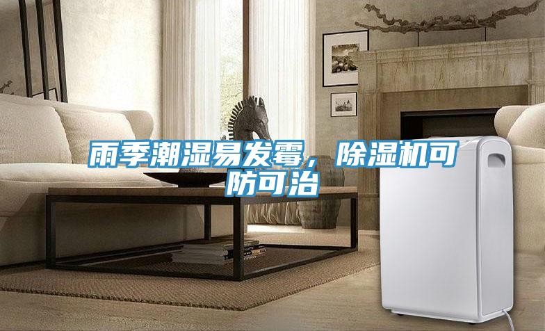 雨季潮濕易發(fā)霉，除濕機可防可治