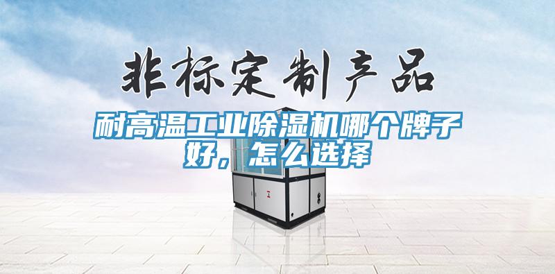 耐高溫工業(yè)除濕機(jī)哪個牌子好，怎么選擇