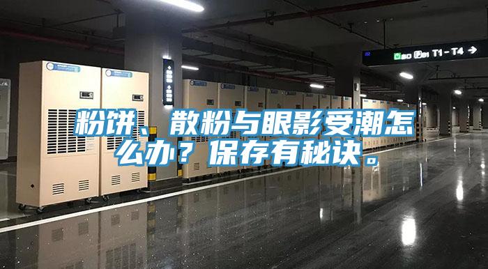 粉餅、散粉與眼影受潮怎么辦？保存有秘訣。