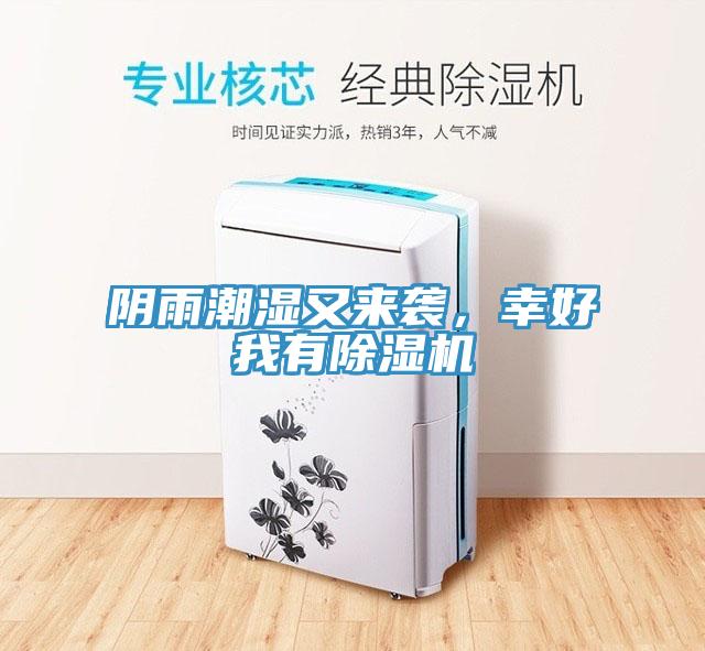 陰雨潮濕又來(lái)襲，幸好我有除濕機(jī)