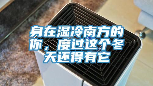 身在濕冷南方的你，度過這個(gè)冬天還得有它