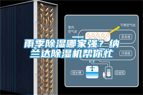 雨季除濕哪家強？納蘭達除濕機幫你忙