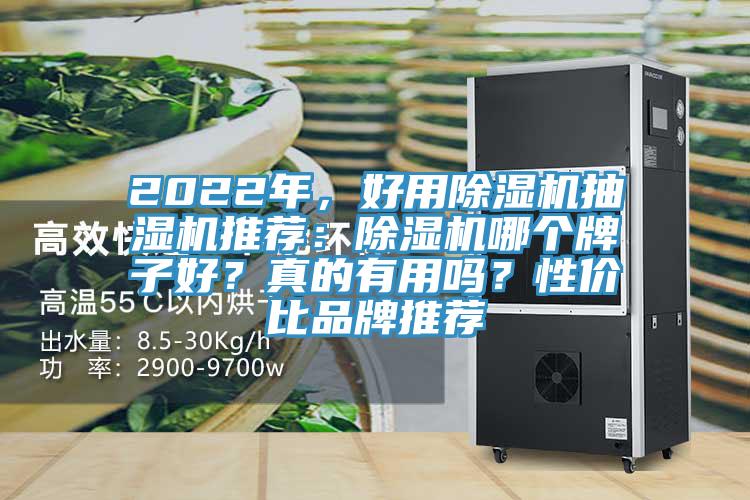 2022年，好用除濕機抽濕機推薦：除濕機哪個牌子好？真的有用嗎？性價比品牌推薦