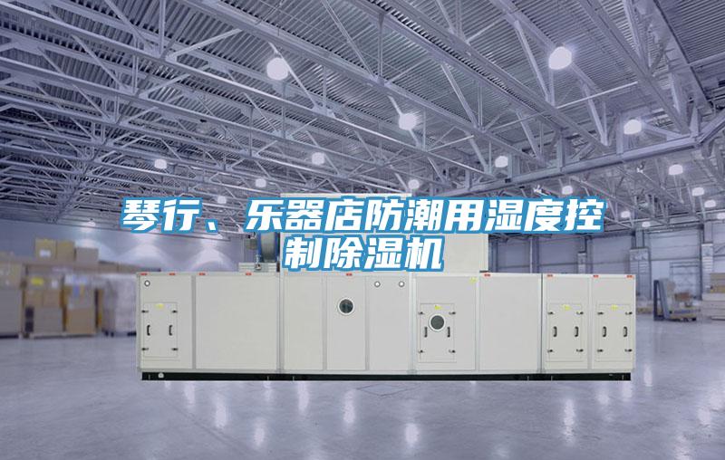 琴行、樂器店防潮用濕度控制除濕機(jī)