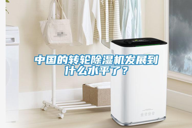 中國(guó)的轉(zhuǎn)輪除濕機(jī)發(fā)展到什么水平了？