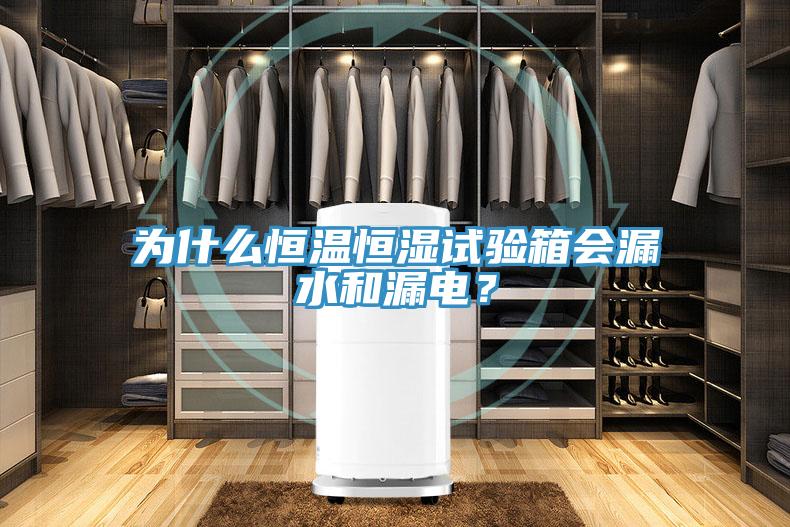 為什么恒溫恒濕試驗(yàn)箱會(huì)漏水和漏電？