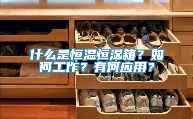 什么是恒溫恒濕箱？如何工作？有何應(yīng)用？