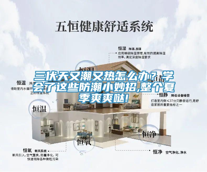 三伏天又潮又熱怎么辦？學會了這些防潮小妙招,整個夏季爽爽噠!