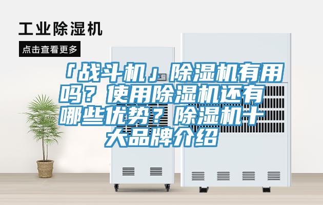 「戰(zhàn)斗機」除濕機有用嗎？使用除濕機還有哪些優(yōu)勢？除濕機十大品牌介紹