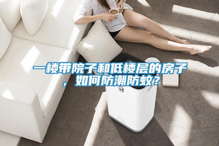 一樓帶院子和低樓層的房子，如何防潮防蚊？