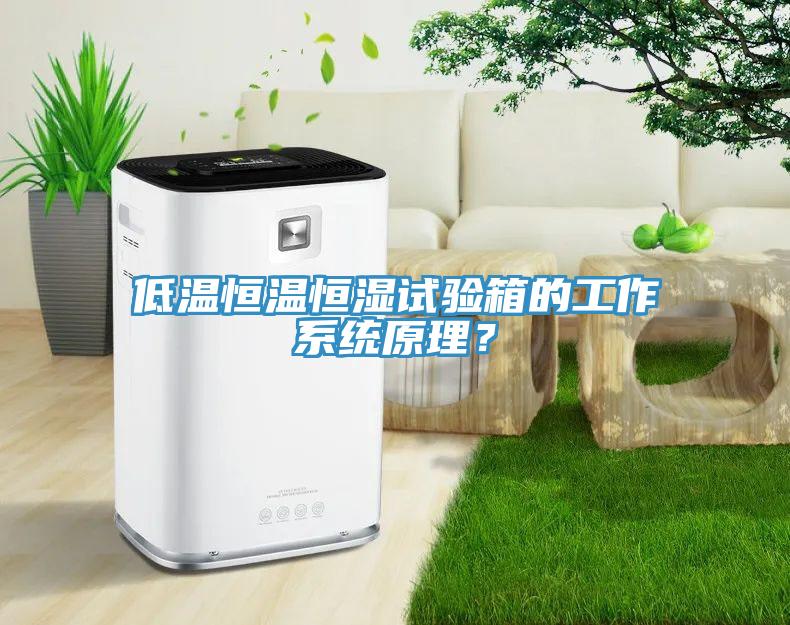 低溫恒溫恒濕試驗箱的工作系統(tǒng)原理？