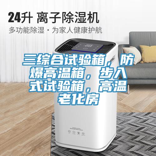 三綜合試驗(yàn)箱，防爆高溫箱，步入式試驗(yàn)箱，高溫老化房