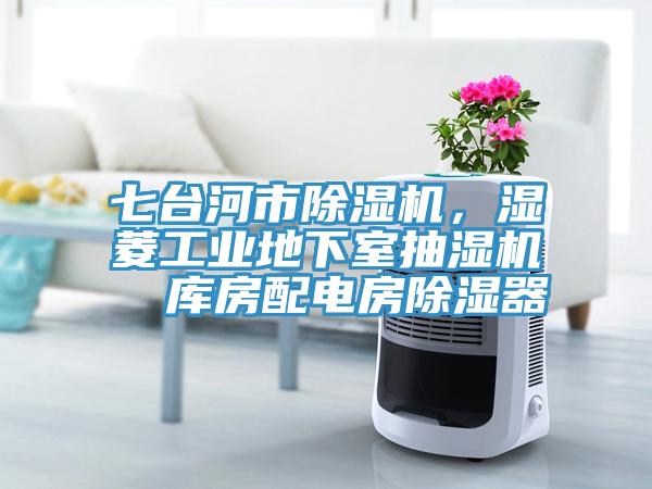 七臺河市除濕機，濕菱工業(yè)地下室抽濕機  庫房配電房除濕器