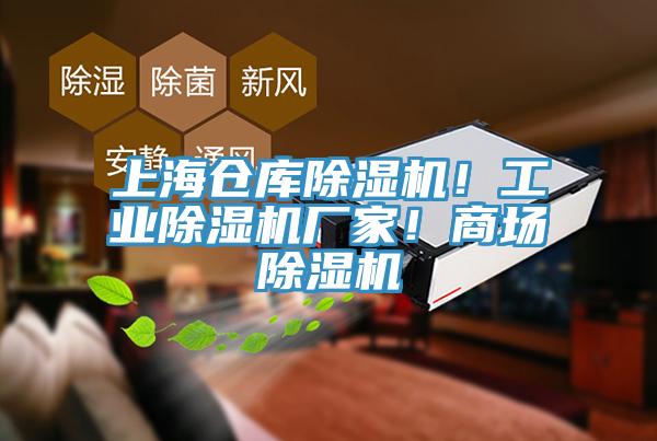 上海倉(cāng)庫(kù)除濕機(jī)！工業(yè)除濕機(jī)廠家！商場(chǎng)除濕機(jī)