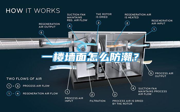 一樓墻面怎么防潮？
