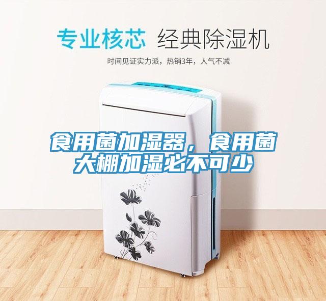 食用菌加濕器，食用菌大棚加濕必不可少