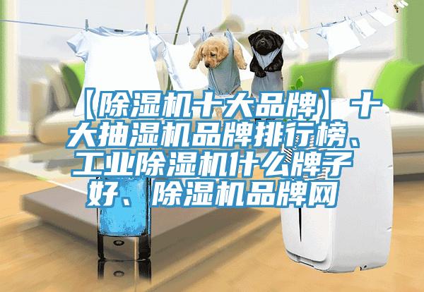 【除濕機(jī)十大品牌】十大抽濕機(jī)品牌排行榜、工業(yè)除濕機(jī)什么牌子好、除濕機(jī)品牌網(wǎng)