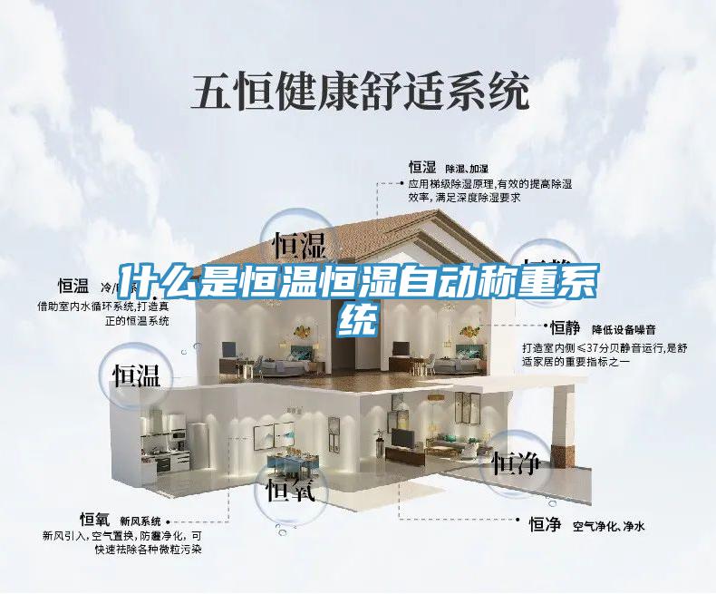 什么是恒溫恒濕自動(dòng)稱(chēng)重系統(tǒng)