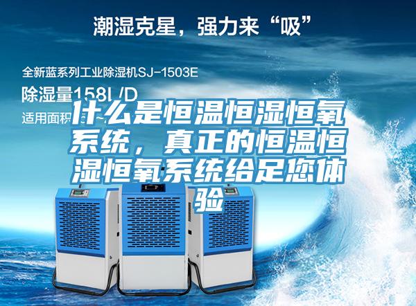 什么是恒溫恒濕恒氧系統(tǒng)，真正的恒溫恒濕恒氧系統(tǒng)給足您體驗(yàn)
