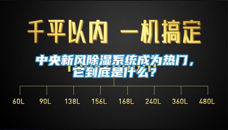 中央新風(fēng)除濕系統(tǒng)成為熱門，它到底是什么？