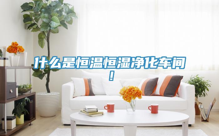 什么是恒溫恒濕凈化車間！
