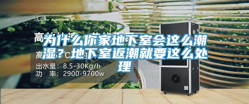 為什么你家地下室會這么潮濕？地下室返潮就要這么處理