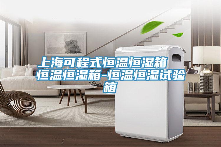 上?？沙淌胶銣睾銤裣? 恒溫恒濕箱-恒溫恒濕試驗(yàn)箱