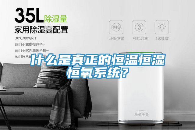 什么是真正的恒溫恒濕恒氧系統(tǒng)？