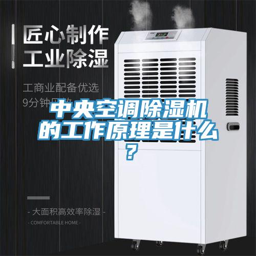 中央空調(diào)除濕機(jī)的工作原理是什么？
