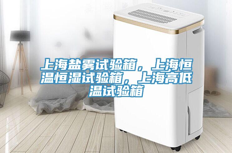 上海鹽霧試驗(yàn)箱，上海恒溫恒濕試驗(yàn)箱，上海高低溫試驗(yàn)箱