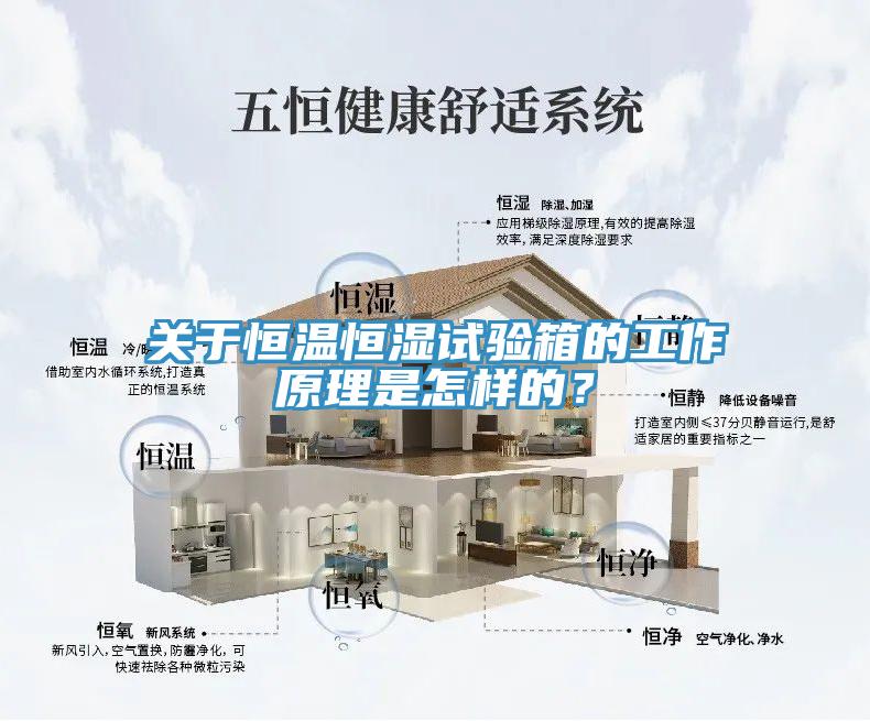 關于恒溫恒濕試驗箱的工作原理是怎樣的？