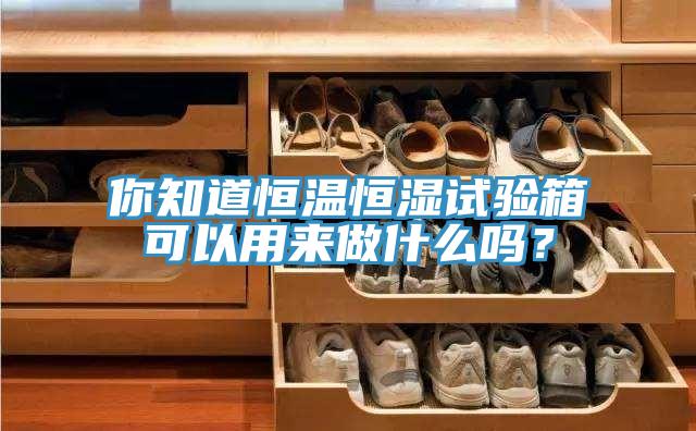 你知道恒溫恒濕試驗(yàn)箱可以用來(lái)做什么嗎？