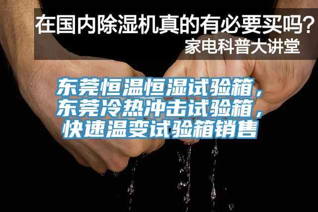 東莞恒溫恒濕試驗(yàn)箱，東莞冷熱沖擊試驗(yàn)箱，快速溫變?cè)囼?yàn)箱銷售