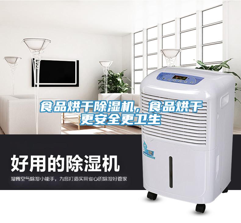 食品烘干除濕機(jī)，食品烘干更安全更衛(wèi)生