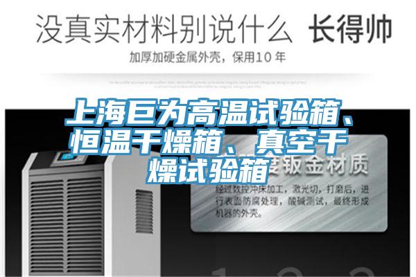 上海巨為高溫試驗(yàn)箱、恒溫干燥箱、真空干燥試驗(yàn)箱