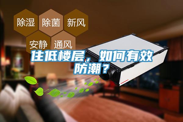 住低樓層，如何有效防潮？