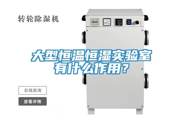 大型恒溫恒濕實(shí)驗(yàn)室有什么作用？
