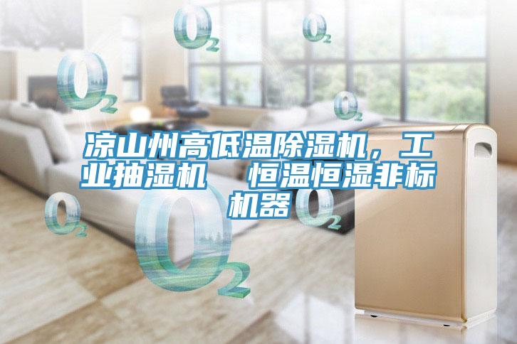 涼山州高低溫除濕機(jī)，工業(yè)抽濕機(jī)  恒溫恒濕非標(biāo)機(jī)器