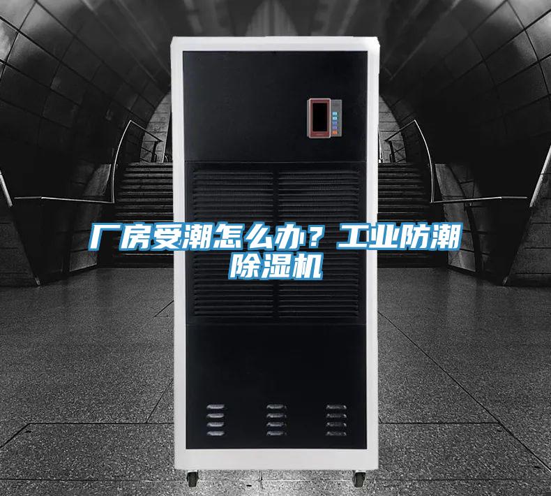 廠房受潮怎么辦？工業(yè)防潮除濕機(jī)