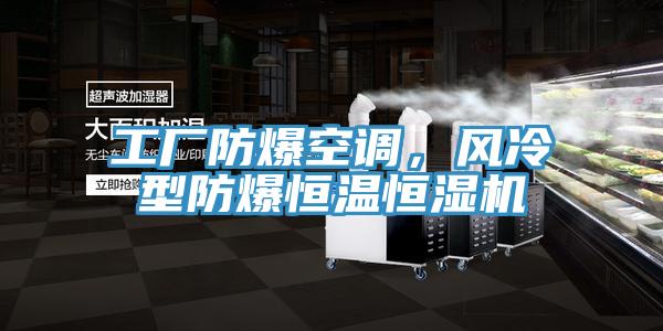 工廠防爆空調(diào)，風冷型防爆恒溫恒濕機